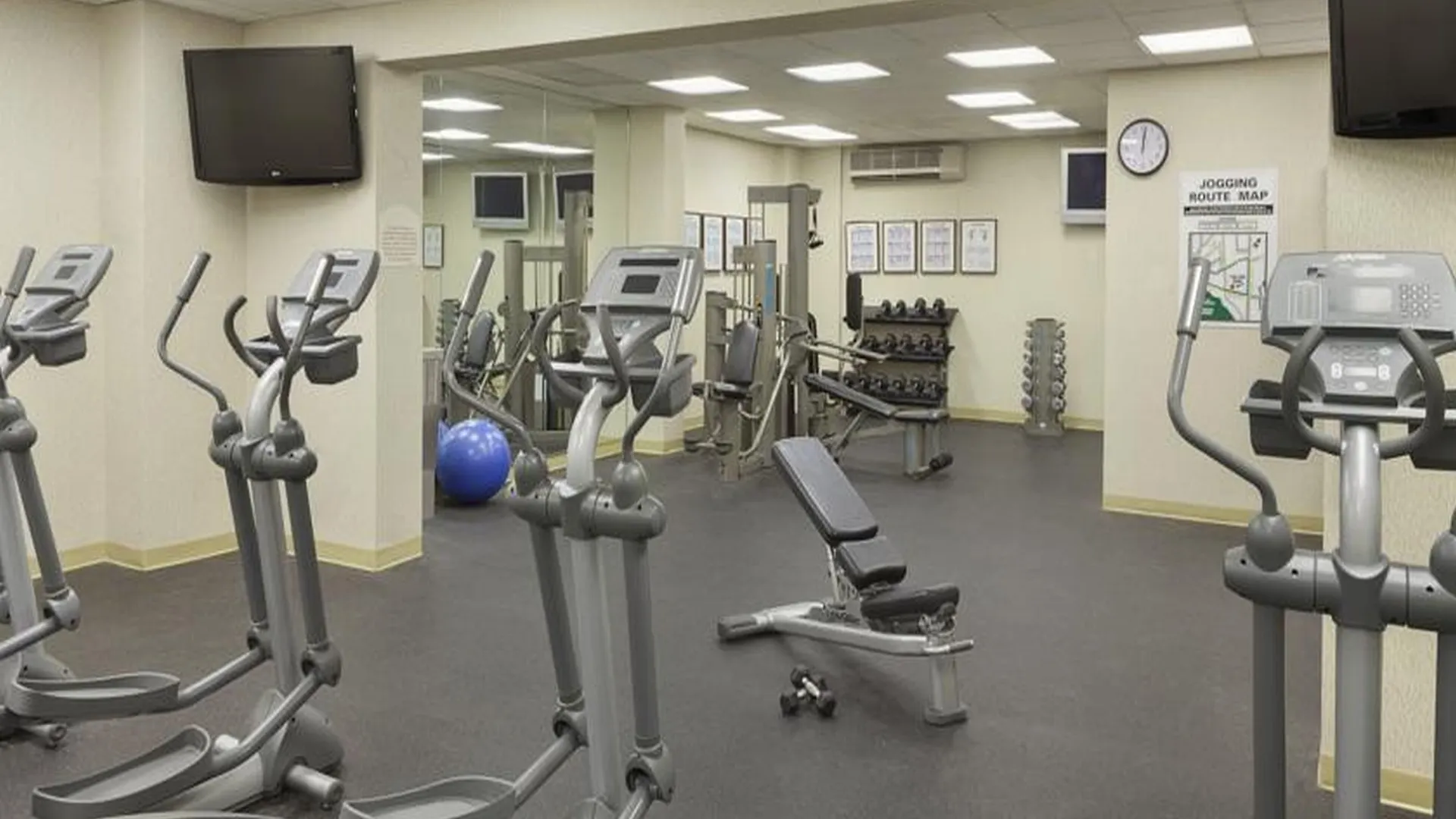 Holiday Inn Toronto International Airport By Ihg
