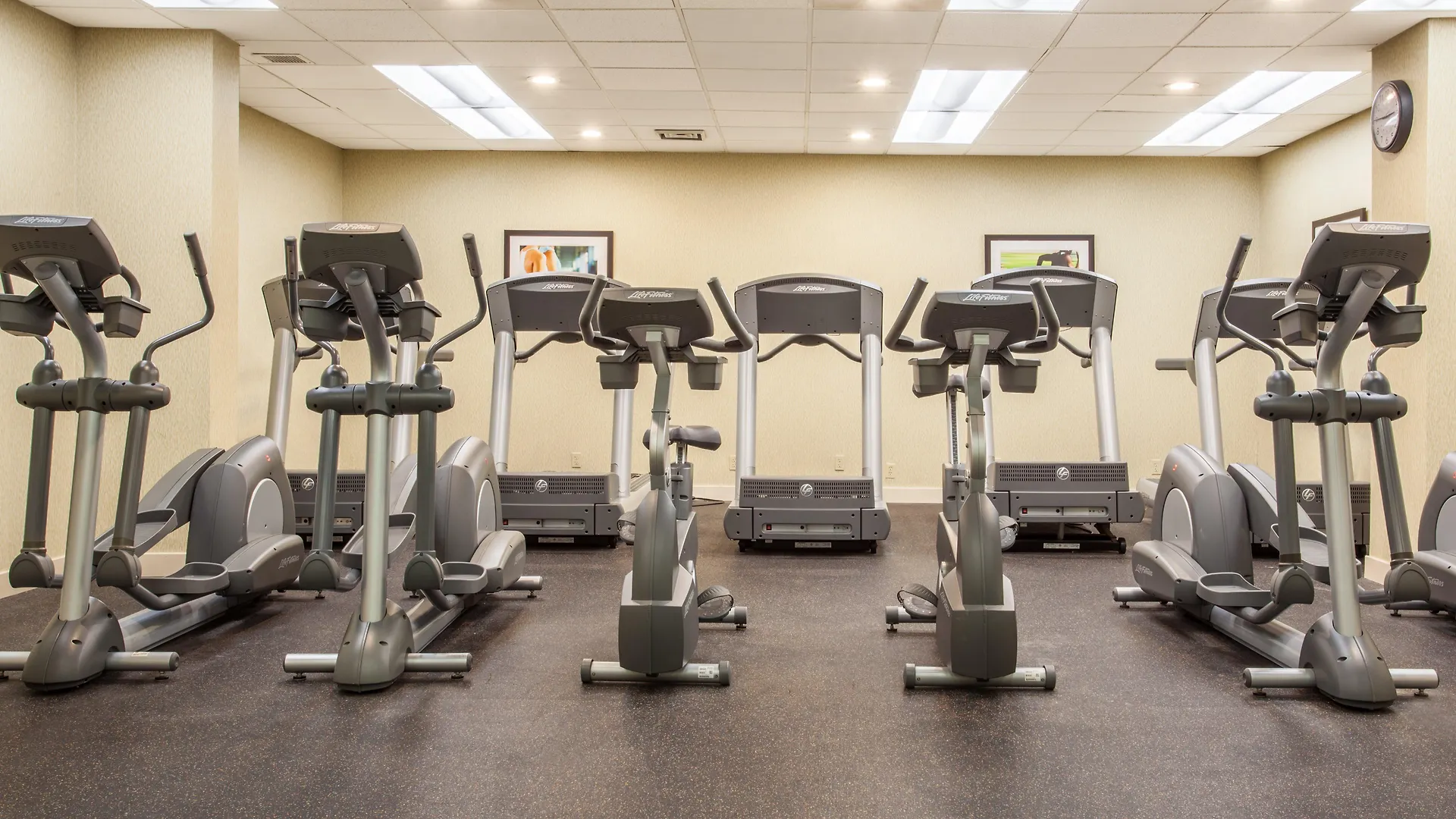 Holiday Inn Toronto International Airport By Ihg