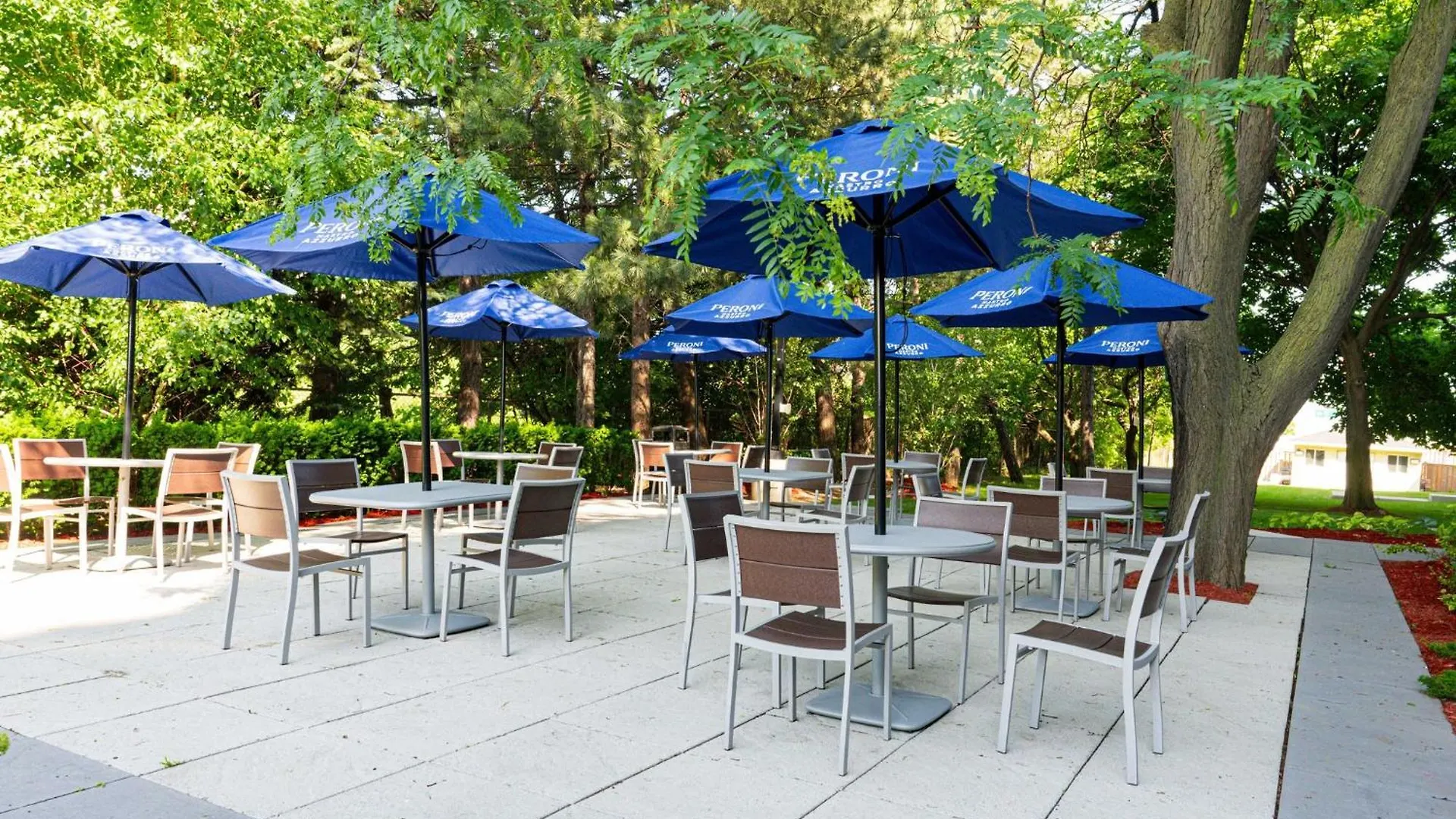 Holiday Inn Toronto International Airport By Ihg Hotel